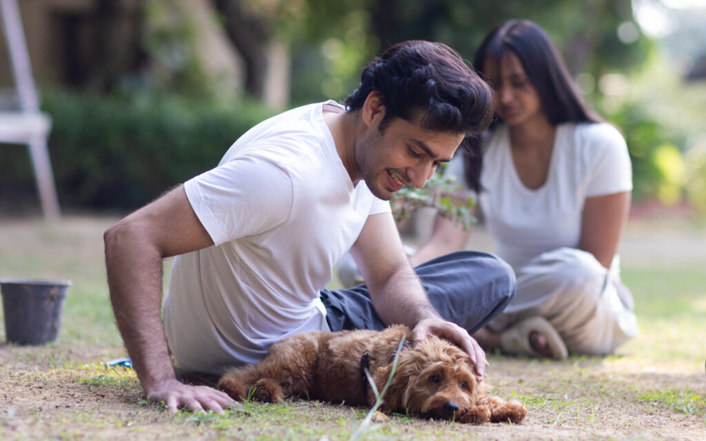 Pet therapy services that provide natural approaches to stress reduction and emotional healing at Ganaa- Luxury Mental Health rehabilitation.